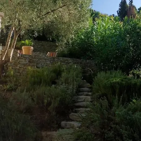 Mourtia La0414