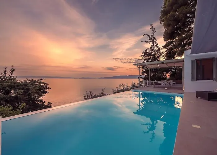 Mourtia La0414 Willa *