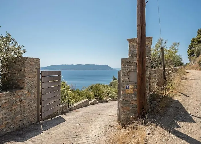 Mourtia La0414 Willa *