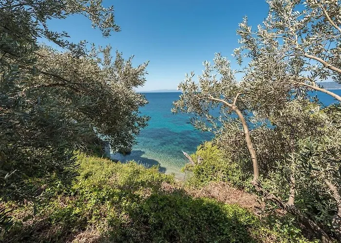 Mourtia La0414 Willa *