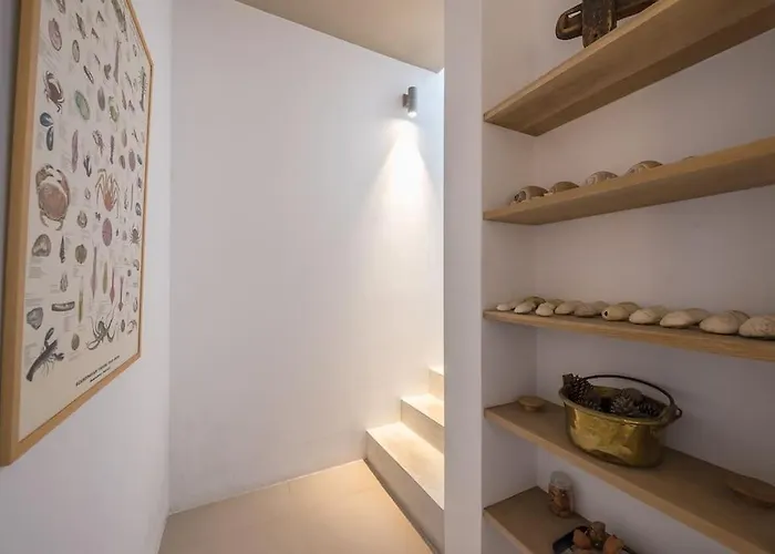 Mourtia La0414 Willa